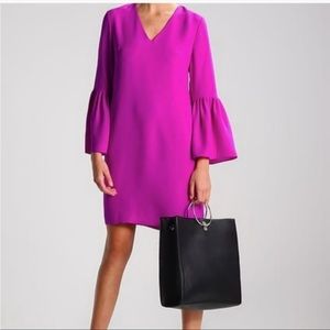 Banana Republic Bell Sleeve Dress